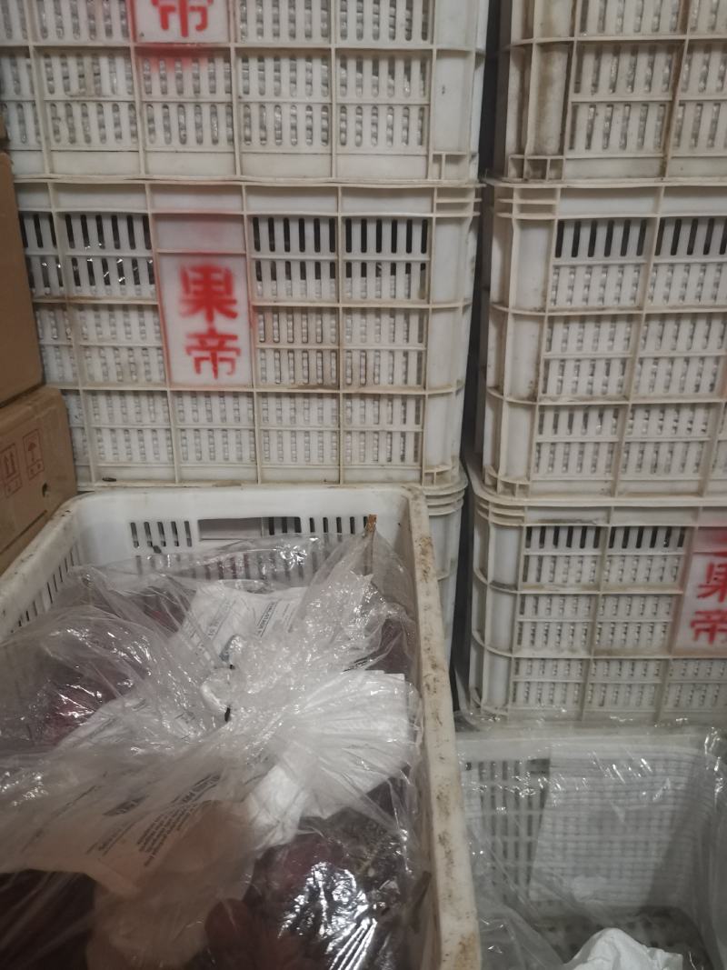 灵宝高原纸袋儿红富士苹果，货源充足，价格不等，以质论价
