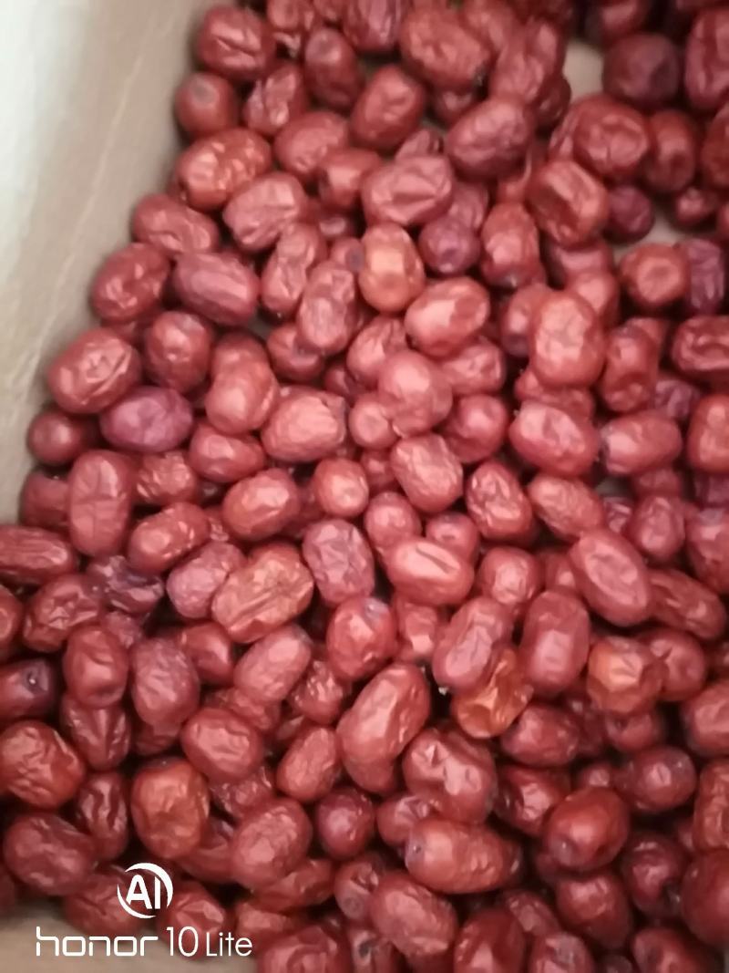 陕北黄河滩大红枣农家种植天然食品优质好货欢迎联系