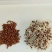 一年四季牧草种子高丹草种子养殖鸡鸭鹅猪牛羊兔鱼草畜禽牧