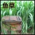 一年四季牧草种子高丹草种子养殖鸡鸭鹅猪牛羊兔鱼草畜禽牧