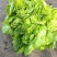 儿菜5两以上毛菜净菜都可以