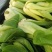 上海青俗称小油菜上市