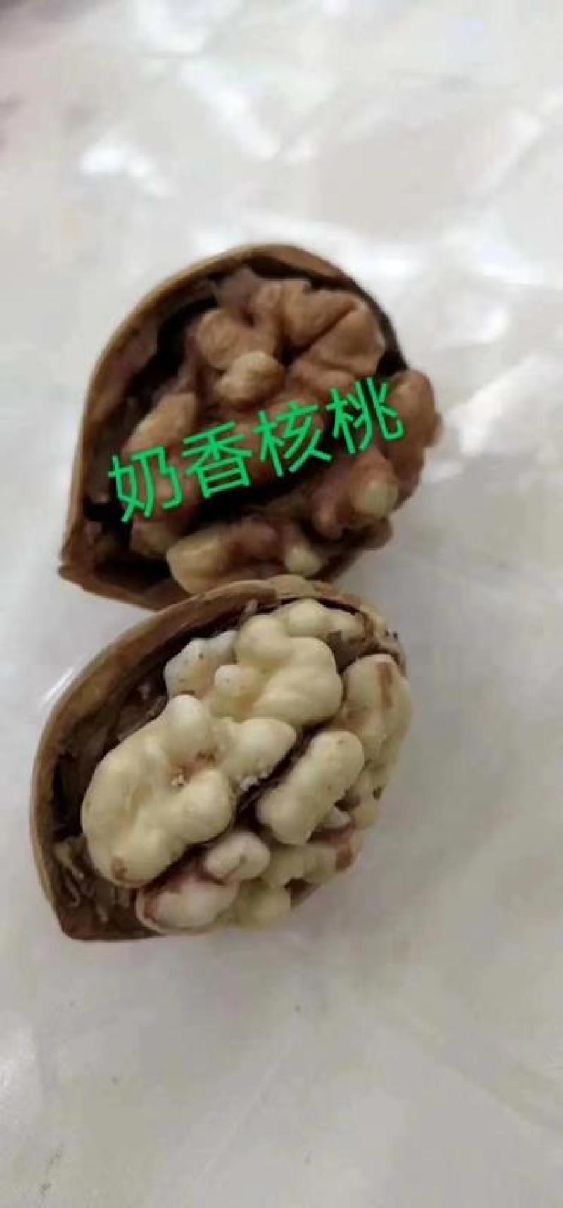电商对接平台185纸皮核桃新二核桃新疆产地直发一手货源
