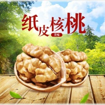 电商对接平台185纸皮核桃新二核桃新疆产地直发一手货源