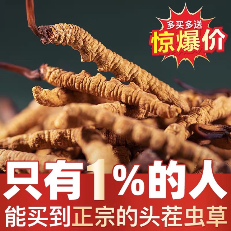 西藏那曲冬虫夏草新鲜虫草正品精品饱满招代理