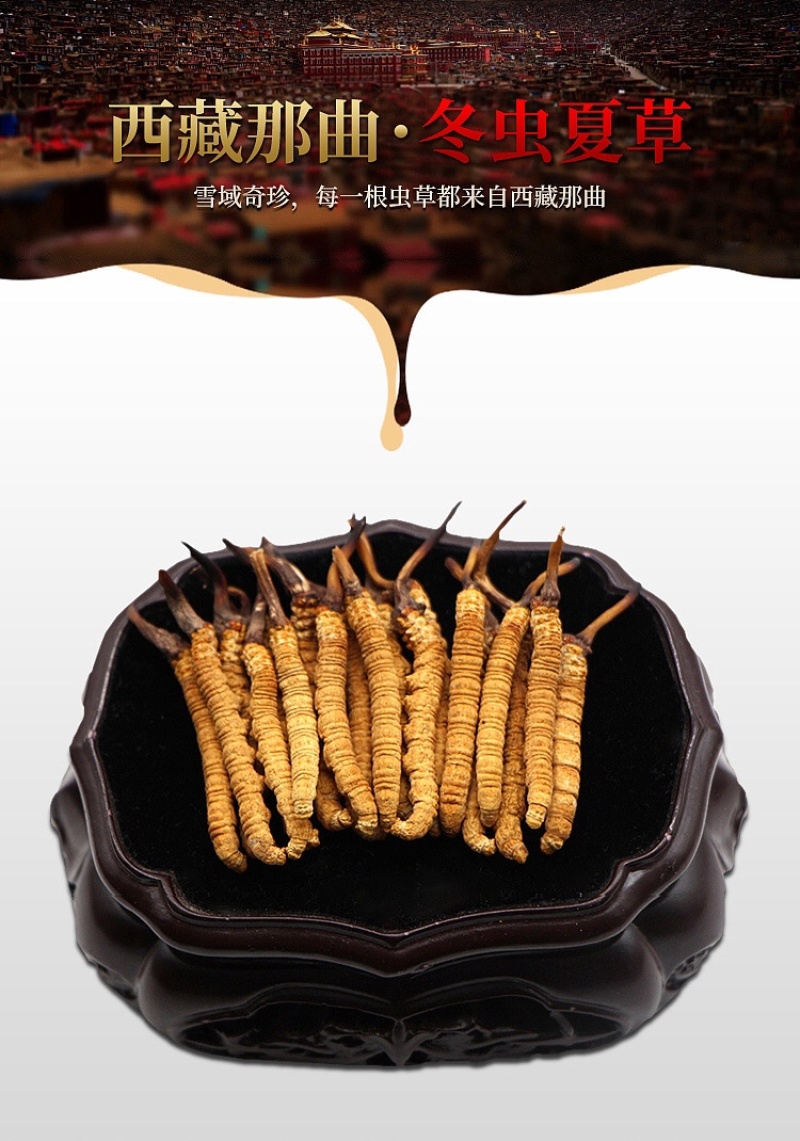 西藏那曲冬虫夏草新鲜虫草正品精品饱满招代理