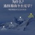 西藏那曲冬虫夏草新鲜虫草正品精品饱满招代理