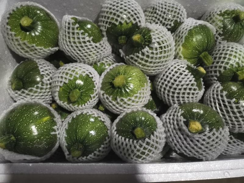 翡翠小南瓜，小圆瓜，嫩南瓜，非贝贝南瓜蜜本南瓜西葫芦