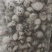 精选干花菇大量上市产地直发保质保量供应全国市