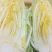 安徽临泉县自产自销黄心白菜，无中间商上车价格。