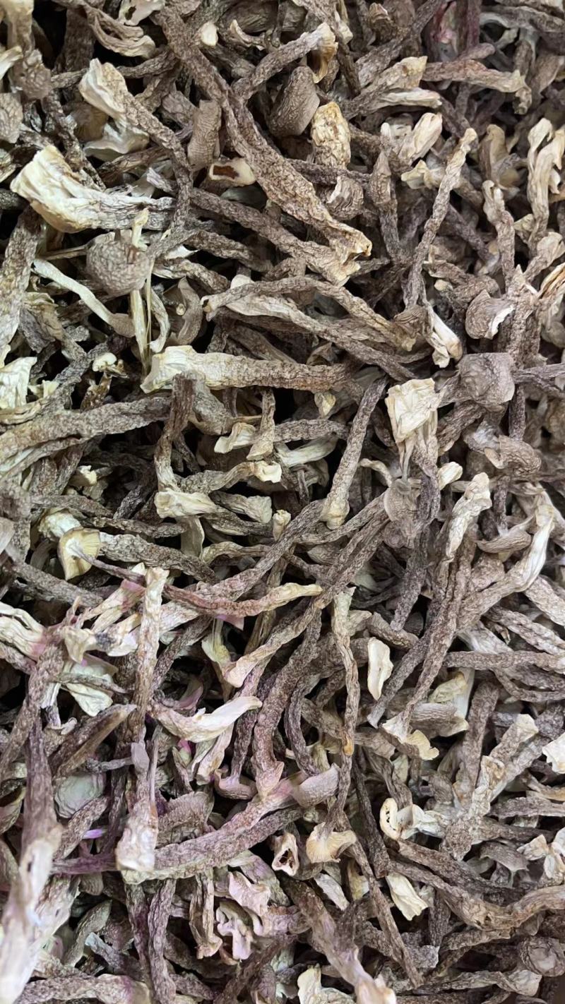 鹿茸菇无硫干货鹿茸菌新鲜无碎云南正宗鹿茸香菇食用菌菇
