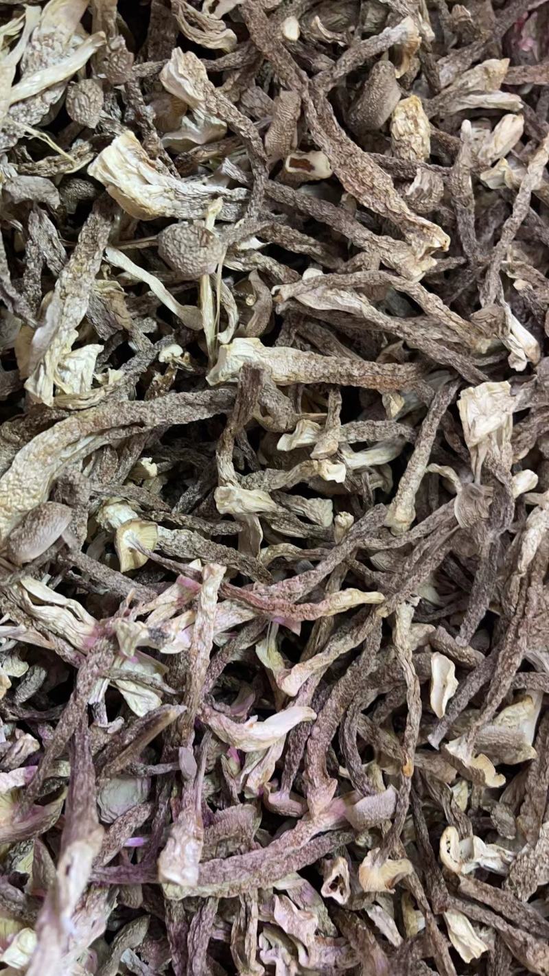 鹿茸菇无硫干货鹿茸菌新鲜无碎云南正宗鹿茸香菇食用菌菇