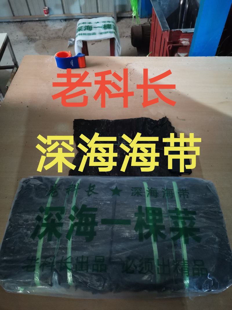 老科长海带：深海礼品一棵菜.纯青宽叶海带片.无黄无沙无碎