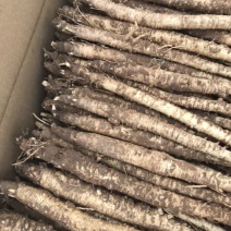 北沙参鲜粗条(质量我保证！有问题可以退货）