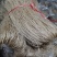 自家红薯加工的纯红薯粉条