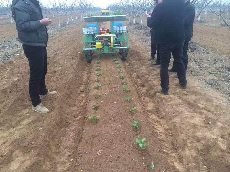 蔬菜移栽大葱移栽机甘蓝移栽机甘蓝花菜移栽机