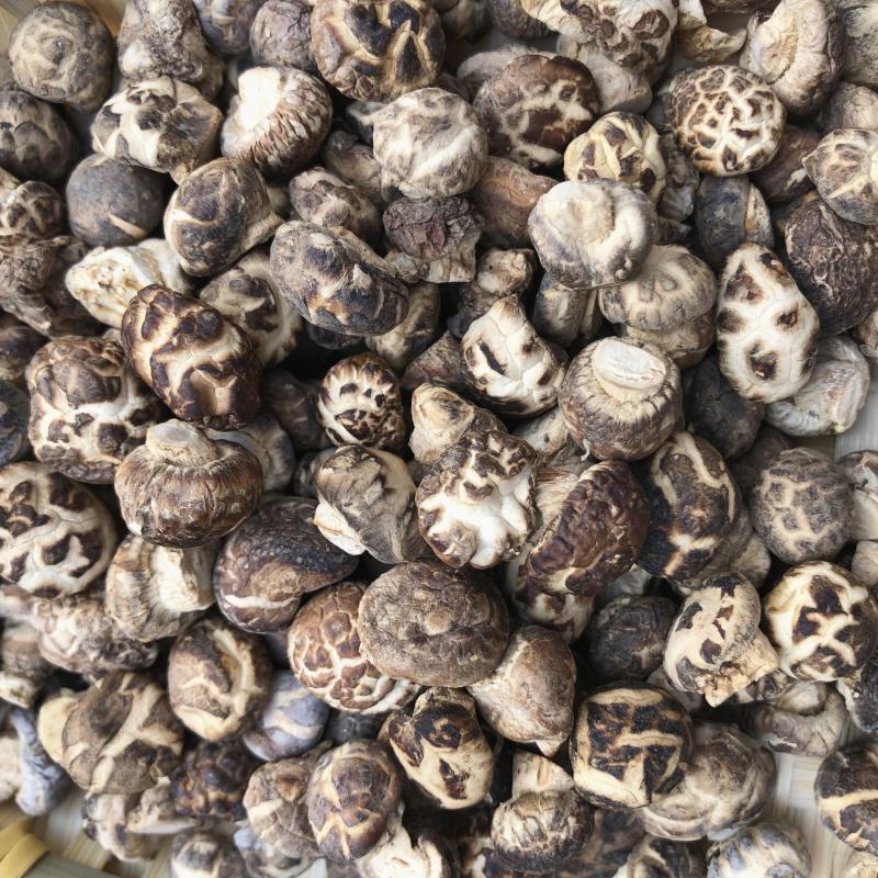 新品小花菇米农家土特产野生蘑菇干货迷你小香菇