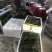 迷迭香可以食用的迷迭香，牛排的好搭档