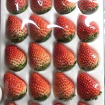 新鲜奶油草莓产地直发