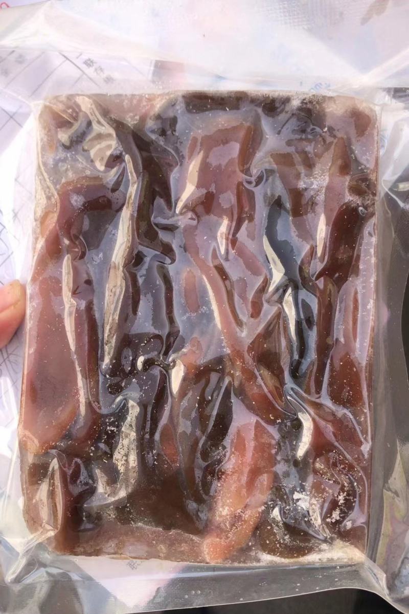 烟台本地海肠，厚皮海肠，活冻海肠，现扩海肠，大量批发