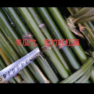 大量供应金竹，冬瓜竹，菜架竹