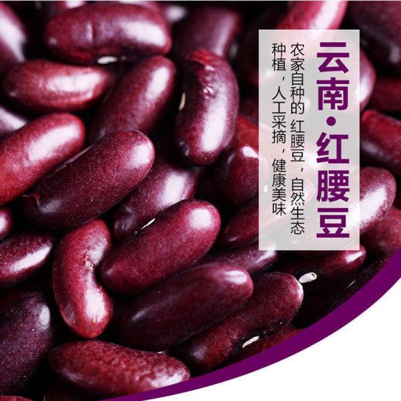 芸豆熬粥必备芸豆子熬粥必备芸豆5斤装包邮