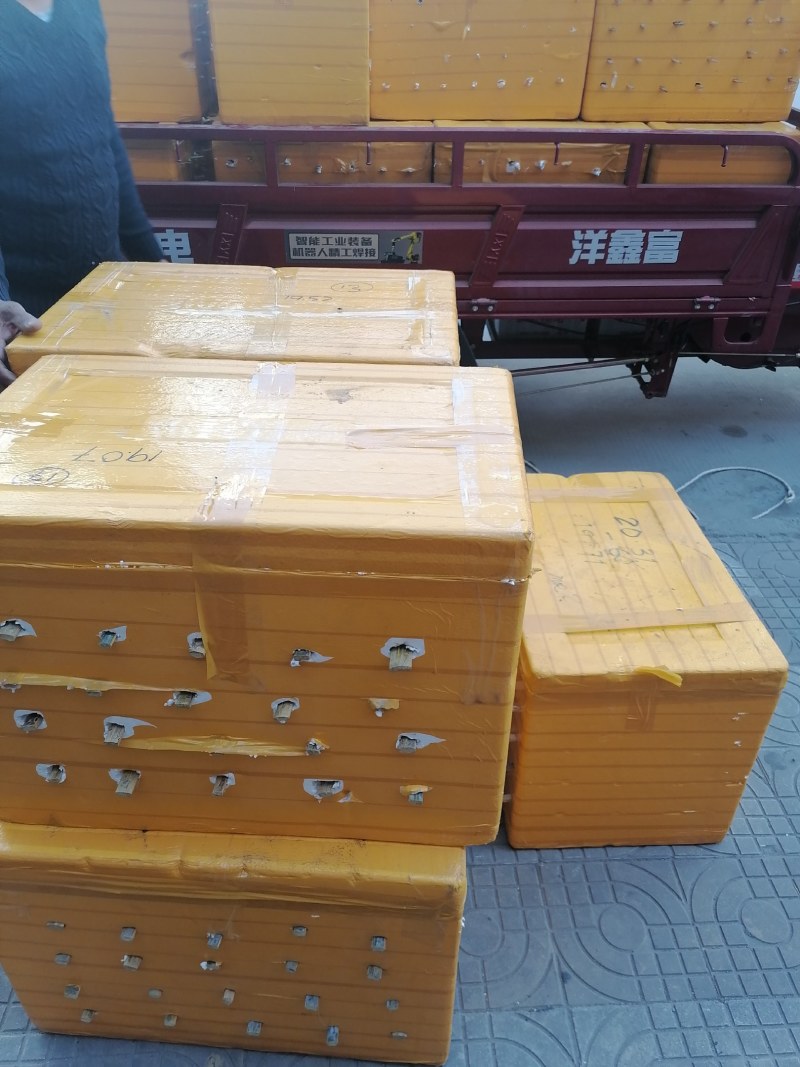一手货源产地直接供应大挂蜜小挂蜜野生蜂蜜