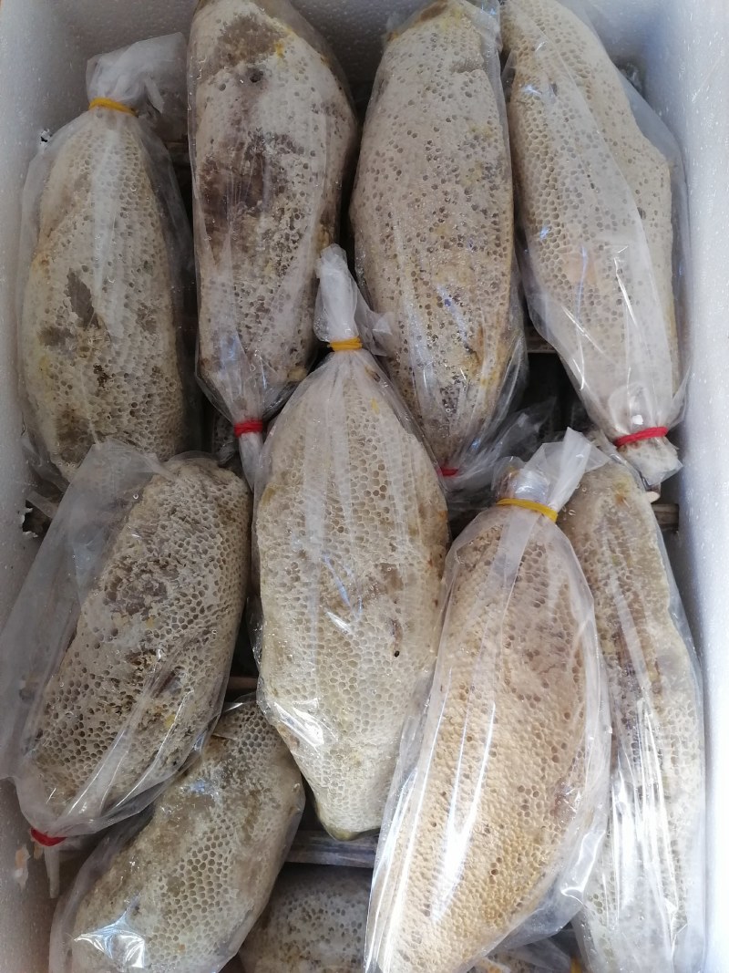 一手货源产地直销供应高山野生大挂蜜小挂蜜