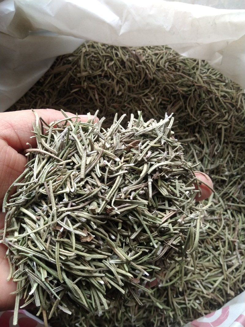 迷迭香产地直供支持线上交易可搭配多品种采购大货联系