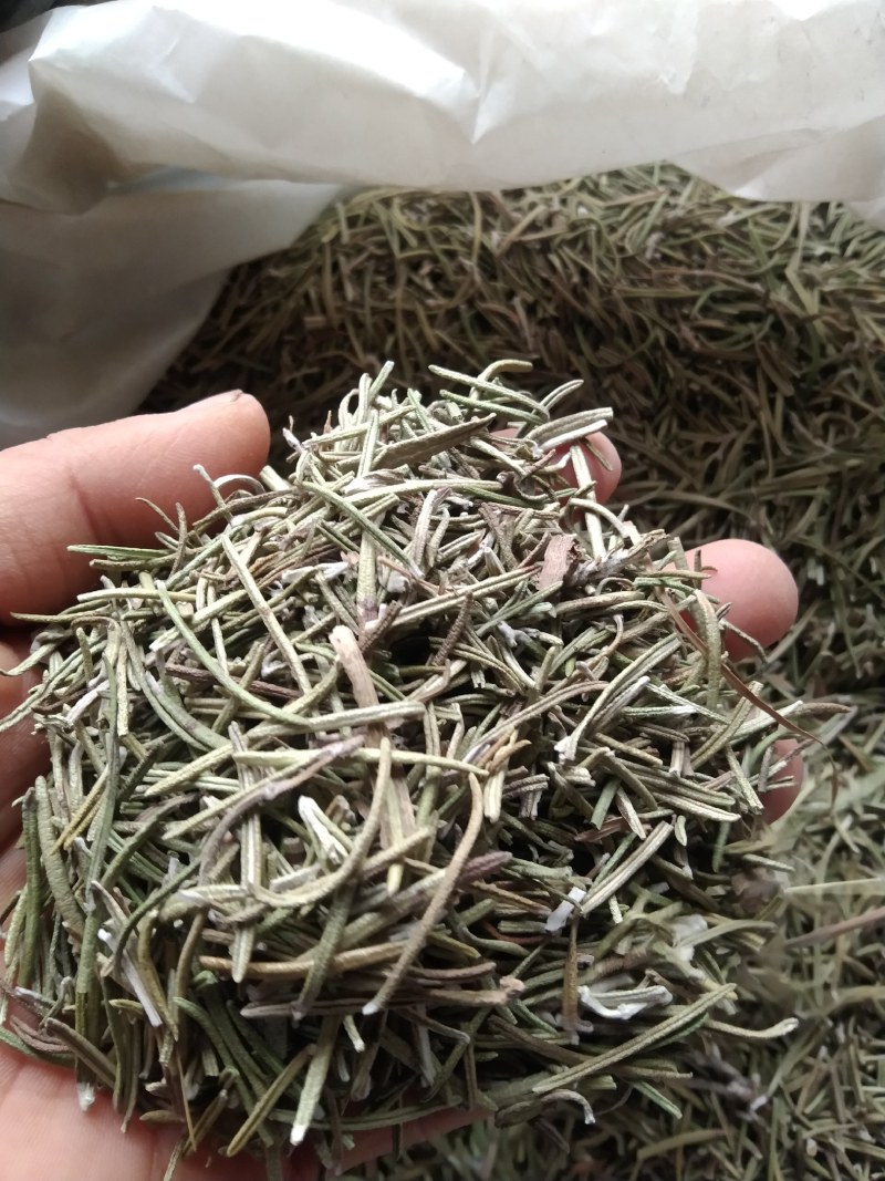 迷迭香产地直供支持线上交易可搭配多品种采购大货联系