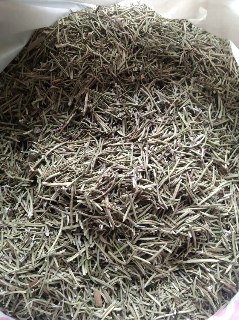 迷迭香产地直供支持线上交易可搭配多品种采购大货联系