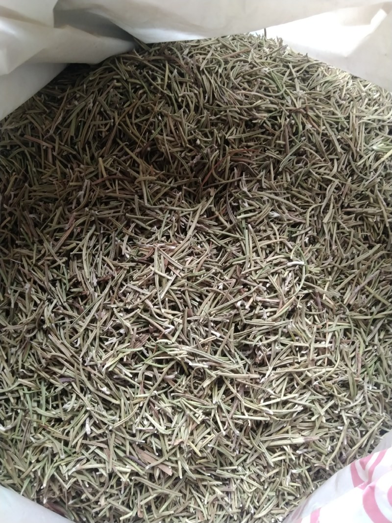 迷迭香产地直供支持线上交易可搭配多品种采购大货联系
