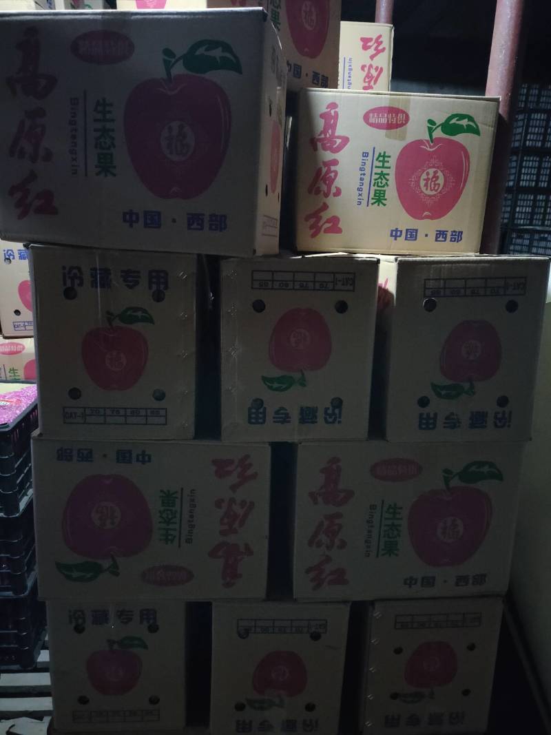 红富士单膜冰糖心/山西临沂坡上优质货源可对接商超