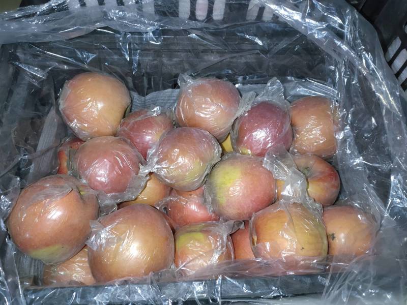 红富士单膜冰糖心/山西临沂坡上优质货源可对接商超