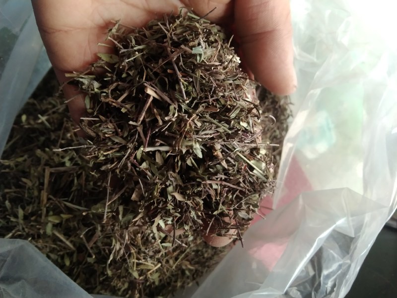 百里香产地直供支持线上交易可搭配多品种采购大货联系