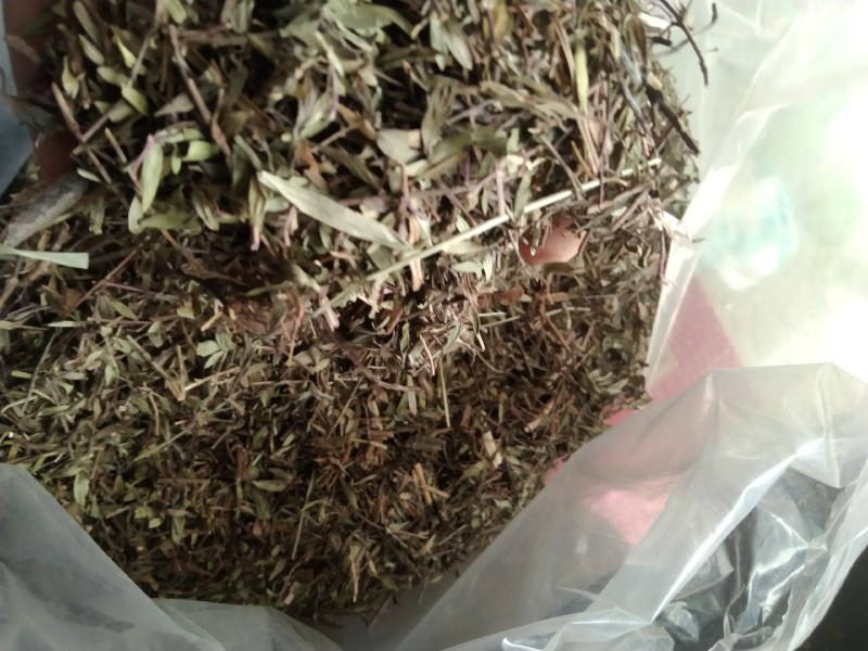 百里香产地直供支持线上交易可搭配多品种采购大货联系