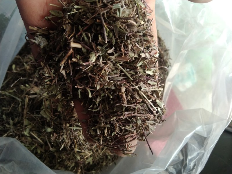 百里香产地直供支持线上交易可搭配多品种采购大货联系
