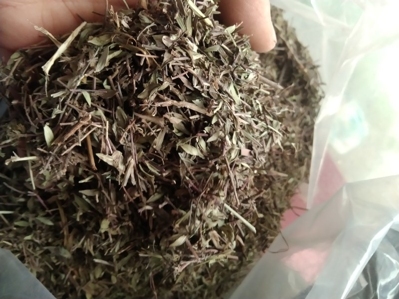 百里香产地直供支持线上交易可搭配多品种采购大货联系