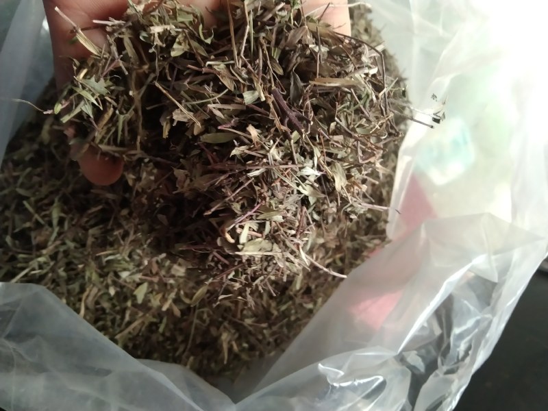 百里香产地直供支持线上交易可搭配多品种采购大货联系