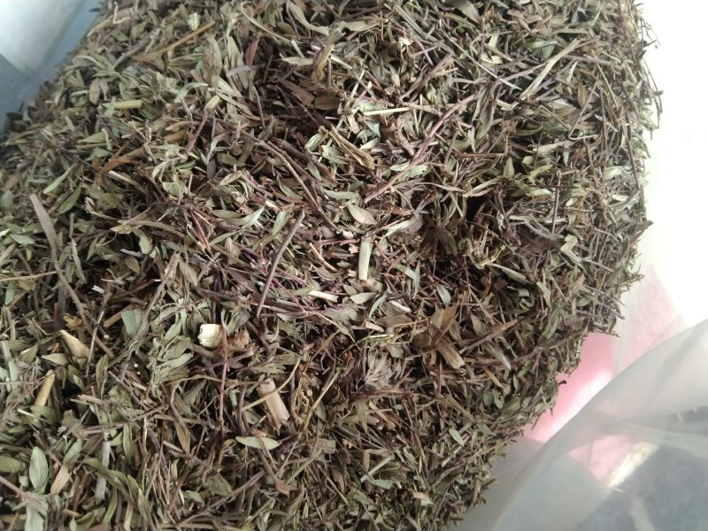 百里香产地直供支持线上交易可搭配多品种采购大货联系