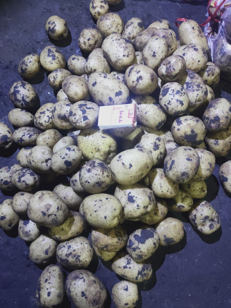 226黄心，白心都有，货量大，可可反包，干洗，水洗