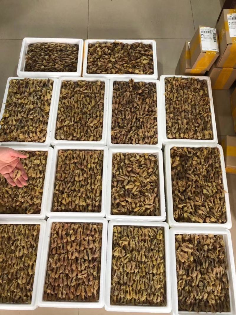 老御头正宗东北雪蛤林.蛙油100克/盒闪电发货包邮女朋友