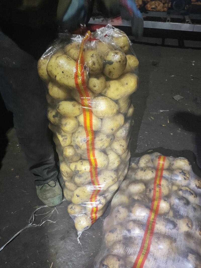 土豆颜色好看薯型大，以信为本，干洗，水洗，都可以的