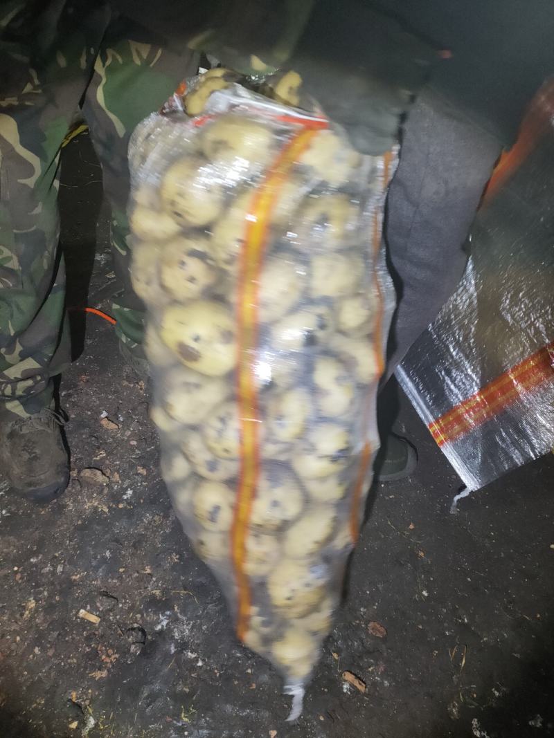 土豆颜色好看薯型大，以信为本，干洗，水洗，都可以的