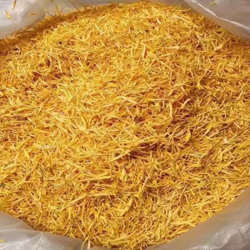 金丝皇菊婺源沫子大货批发