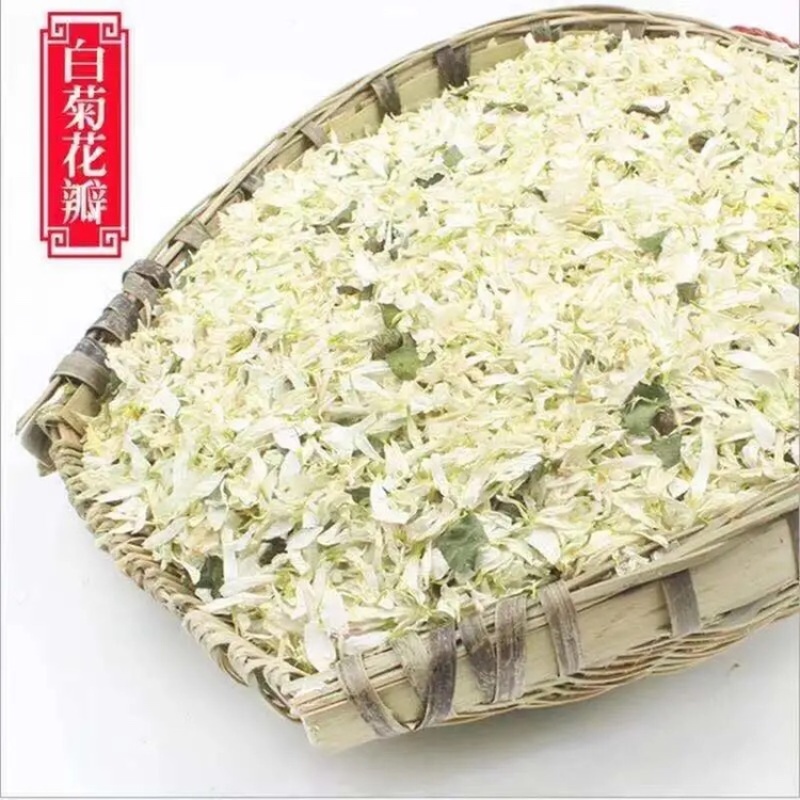 金丝皇菊婺源沫子大货批发