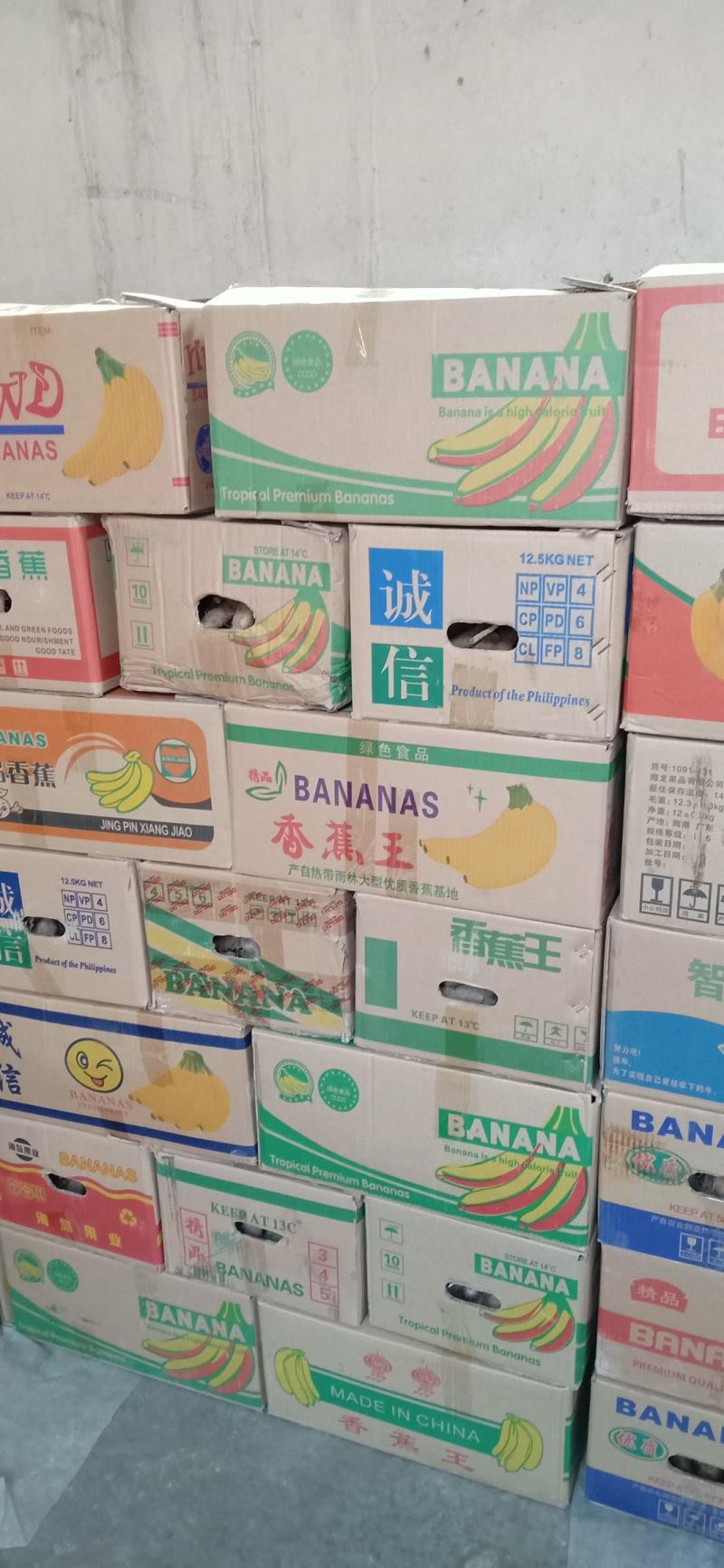 白玉种苗，大量现货供应