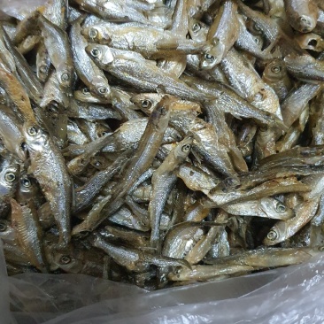 烘干小白肖油炸白肖好吃不上火健康食品