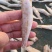 烘干小白肖油炸白肖好吃不上火健康食品
