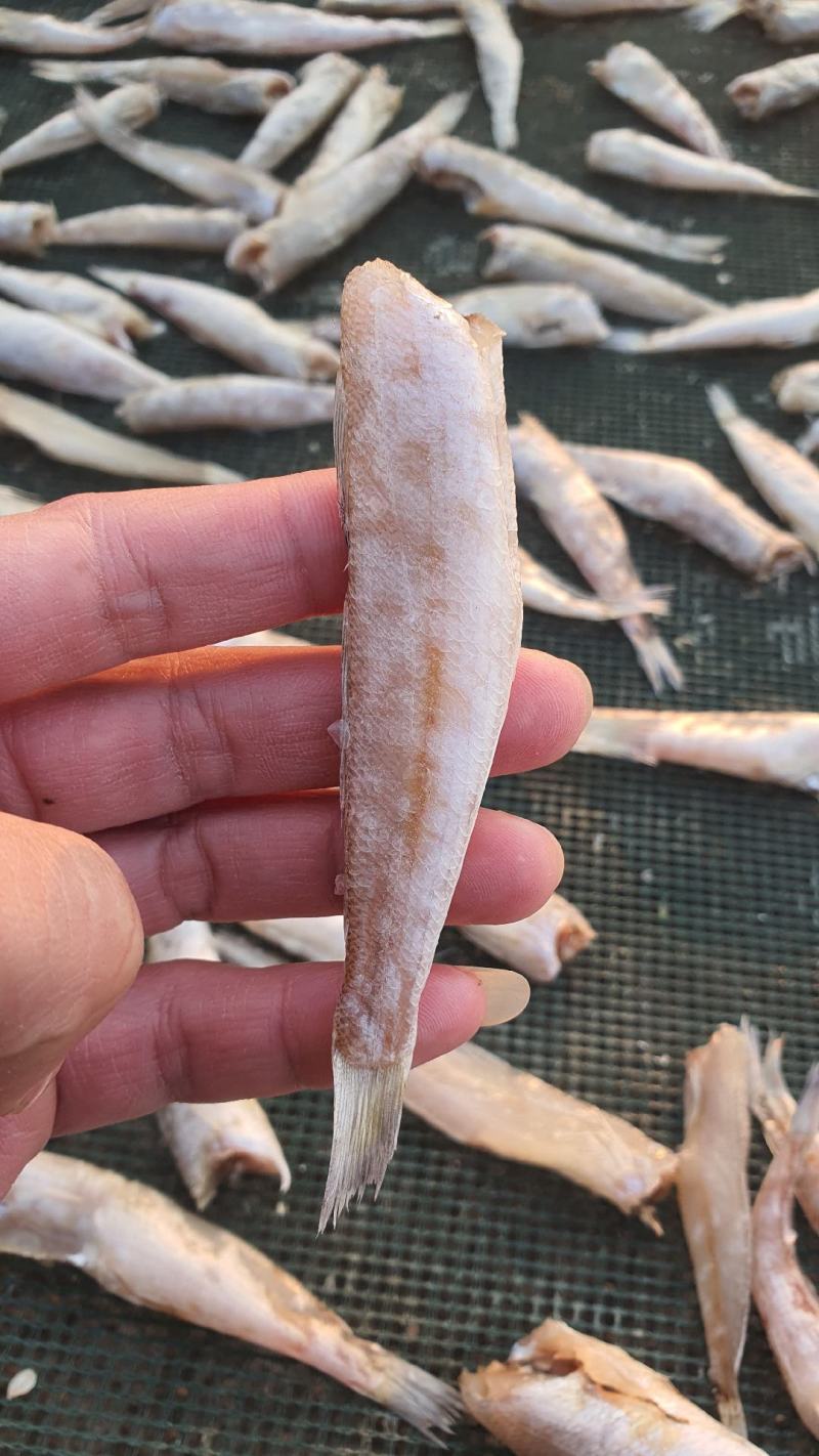 烘干小白肖油炸白肖好吃不上火健康食品